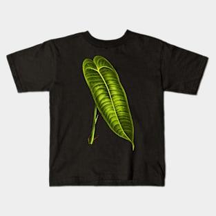 Anthurium Veitchii leaf botanical illustration Kids T-Shirt